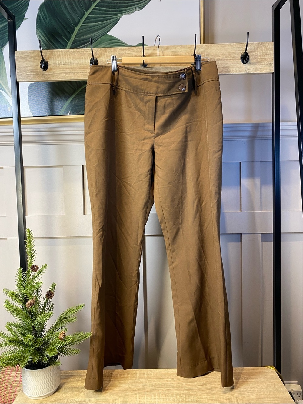 Suzy Brown Straight-Leg Dress Pants 15/16